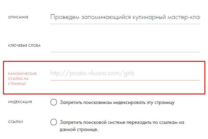 Просування сайту на Тільді - Digital агенція ADS group