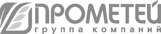 Логотип Прометей: група компаній, партнер у сфері агробізнесу та інвестицій: аналітика